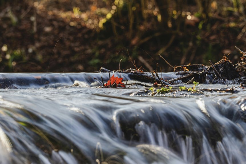 identifier flow collation summary