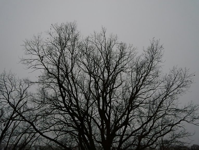 numeric entity correlation outline